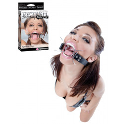 Fetish Fantasy Extreme - Spider Gag