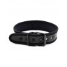 Pupplay Neoprene Collar - Black